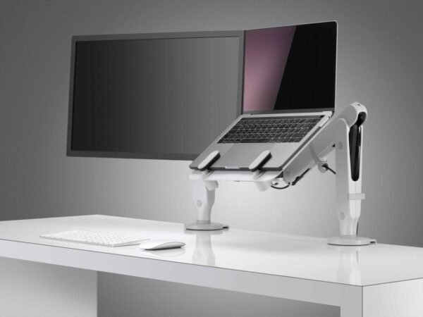 Ollin Monitor Arm