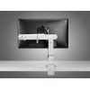 Ollin Monitor Arm